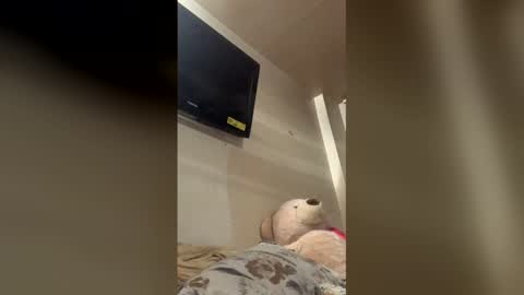 Snapshot of reallife1993 chatting on February 1, 2026, 1:59 am reallife1993 online show from February 1, 2026, 1:59 am