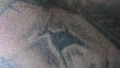 realrubpirate online show from November 2, 2025, 6:38 am