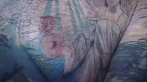 realrubpirate online show from February 22, 2026, 8:57 am