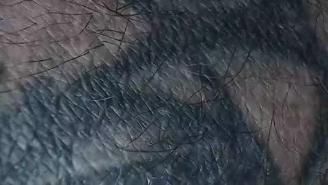 realrubpirate online show from March 18, 2026, 8:50 am