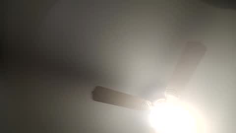 red24devils online show from February 5, 2025, 6:35 am