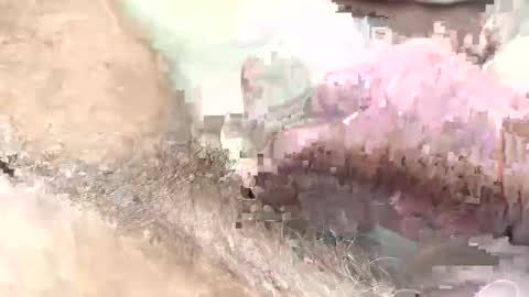 redhotslovesex online show from February 5, 2025, 10:51 am