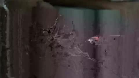 redhotslovesex online show from October 26, 2025, 8:09 am