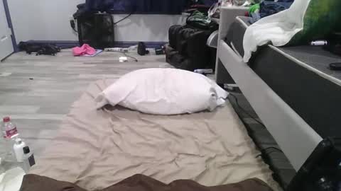 remshotdt online show from February 24, 2025, 4:26 pm