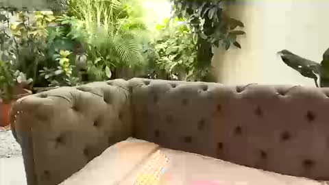 Snapshot of renata_gomez03 chatting on September 13, 2025, 1:22 pm S T A C Y online show from September 13, 2025, 1:22 pm