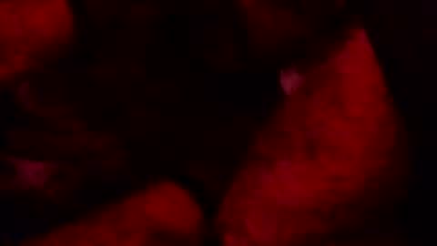 Snapshot of renuetto chatting on October 13, 2025, 5:40 am renuetto online show from October 13, 2025, 5:40 am