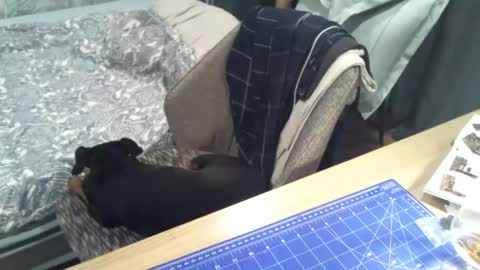 Snapshot of reunionussr chatting on November 16, 2025, 4:45 pm reunionussr online show from November 16, 2025, 4:45 pm