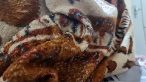 Snapshot of ricard440 chatting on January 12, 2025, 1:16 pm ricard440 online show from January 12, 2025, 1:16 pm