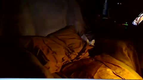 PINK HOLE TWINK online show from March 6, 2026, 4:53 am