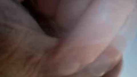 ridik2222333375562 online show from April 13, 2026, 2:28 am