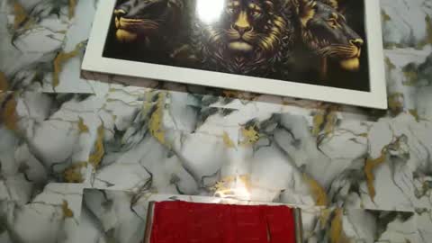 Snapshot of rigel_paxs chatting on February 24, 2026, 6:28 pm rigel online show from February 24, 2026, 6:28 pm