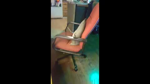 Snapshot of ripchoo chatting on January 9, 2026, 1:41 am ripchoo online show from January 9, 2026, 1:41 am