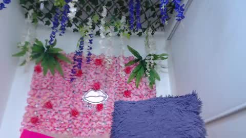 Risitos De Oro online show from April 29, 2026, 9:21 pm