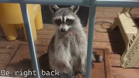 Ryan aka KeylimeRy online show from December 4, 2025, 7:33 pm