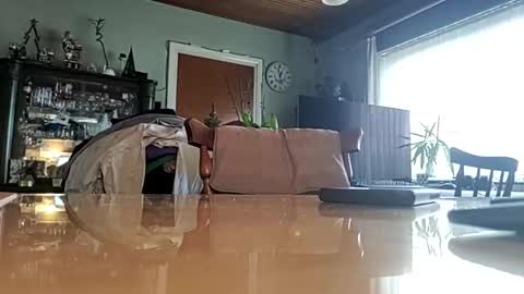 robke1966 online show from January 22, 2025, 11:56 am