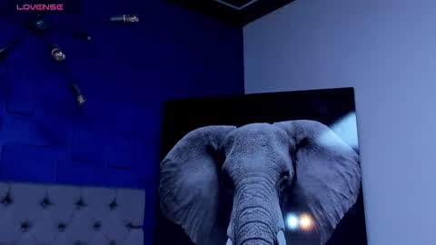 rocco_santos online show from September 27, 2025, 6:07 am