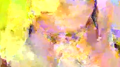 Rod online show from October 3, 2025, 7:44 pm