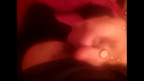 rollino83 online show from December 17, 2025, 3:29 pm