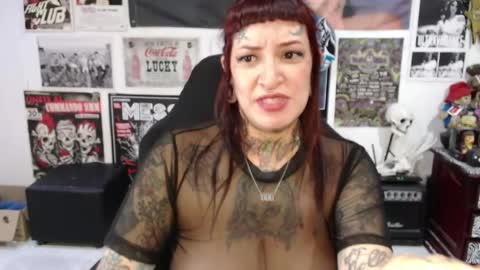 Snapshot of rollyderolandia666 chatting on April 19, 2026, 8:55 pm Rolly online show from April 19, 2026, 8:55 pm