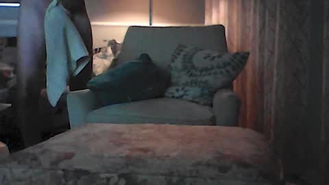 Snapshot of ronvlv chatting on July 8, 2026, 1:43 am ronvlv online show from July 8, 2026, 1:43 am