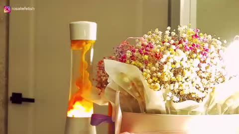 Rosalie online show from December 20, 2025, 2:18 am