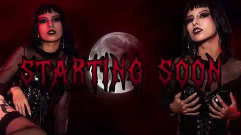 Snapshot of rose_72 chatting on February 14, 2026, 8:16 pm Ally online show from February 14, 2026, 8:16 pm