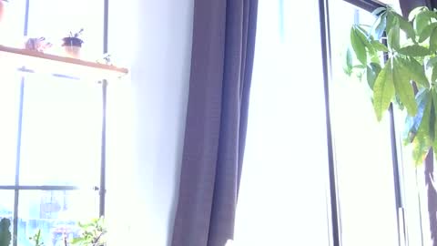 RossCollab online show from January 19, 2026, 1:26 pm