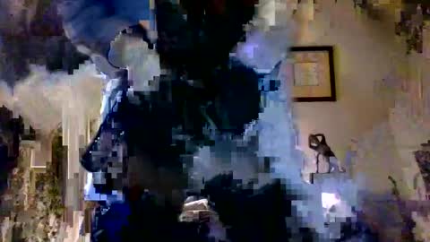 Snapshot of royboy2561 chatting on October 12, 2025, 7:18 am Roy Murrin online show from October 12, 2025, 7:18 am