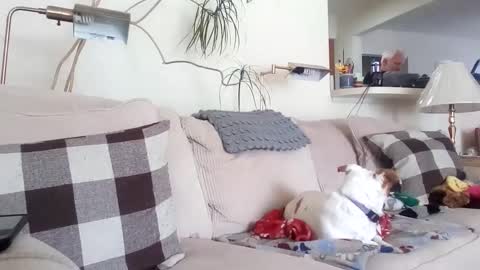 Snapshot of rustyx22 chatting on March 8, 2025, 6:58 pm Rusty online show from March 8, 2025, 6:58 pm