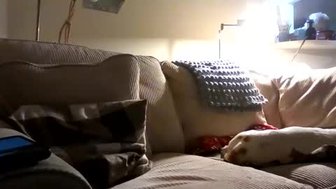 Snapshot of rustyx22 chatting on October 2, 2025, 1:34 am Rusty online show from October 2, 2025, 1:34 am