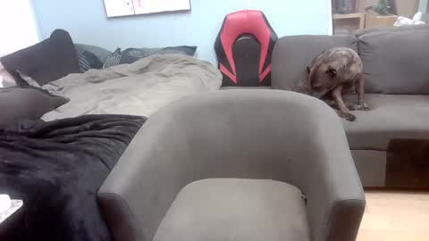 Snapshot of ryanteedaddy chatting on November 1, 2025, 10:50 am Ryan Tee online show from November 1, 2025, 10:50 am