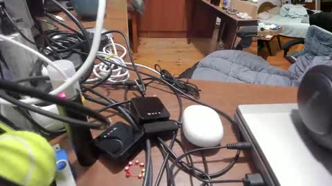 1141323  my Lord Mister Max   moms treasure online show from November 27, 2025, 10:56 pm