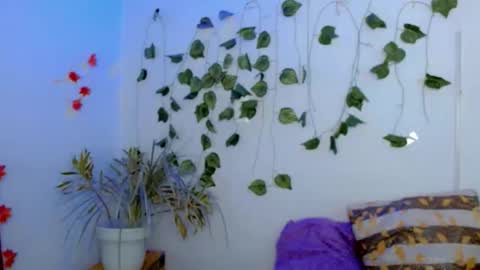 SABRI online show from February 22, 2026, 3:21 pm