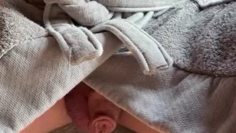 saconuts online show from February 13, 2026, 8:54 am