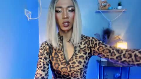 sahayafox online show from April 29, 2026, 5:55 am