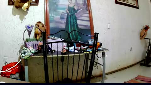 ruby  chocoholic cakeholic coffeeholic cookieholic online show from October 2, 2025, 9:11 pm