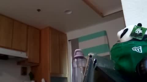 salis1981 online show from September 18, 2025, 7:49 pm