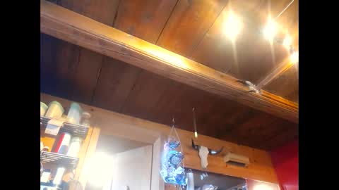 salsapaulus online show from April 13, 2026, 12:10 pm