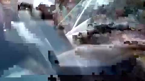 Snapshot of sam223382879 chatting on December 25, 2024, 3:28 pm sam223382879 online show from December 25, 2024, 3:28 pm