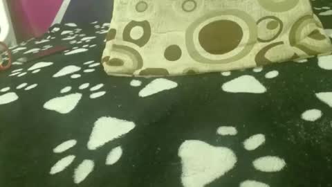 SAMANTHARUIZ18 online show from March 28, 2026, 4:06 pm