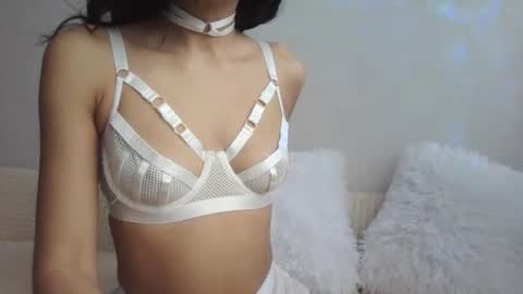 Snapshot of samiraqfresh chatting on February 15, 2025, 11:50 am SamiraQFresh online show from February 15, 2025, 11:50 am