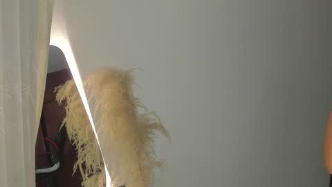 Hello I am absent due to a family calamity I will return soon-hola estoy ausente por un problema familiar volvere pronto. online show from February 19, 2025, 11:25 pm