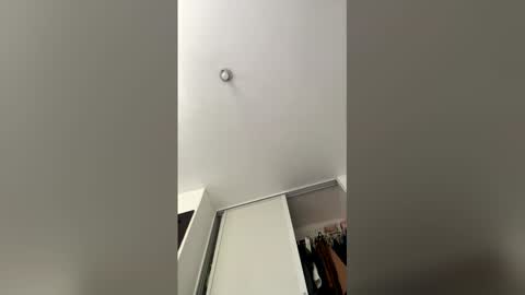 The toy online show from March 26, 2026, 2:55 pm