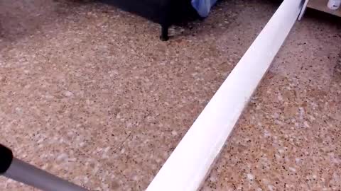 sara_salgado online show from February 22, 2026, 11:09 am