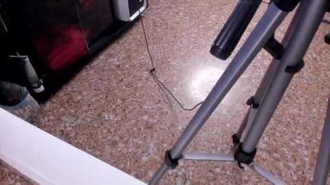 sara_salgado online show from February 23, 2026, 11:07 am