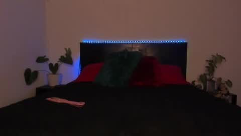 Girl next door online show from January 19, 2025, 11:53 pm