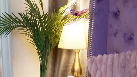  Sarai  online show from July 14, 2026, 3:55 am