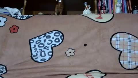 Snapshot of sarraella chatting on December 2, 2024, 5:26 pm Sarra online show from December 2, 2024, 5:26 pm