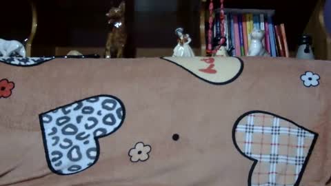 Snapshot of sarraella chatting on January 21, 2025, 2:37 pm Sarra online show from January 21, 2025, 2:37 pm