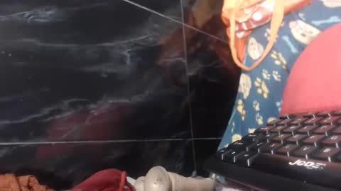 sasha online show from February 2, 2026, 8:24 am